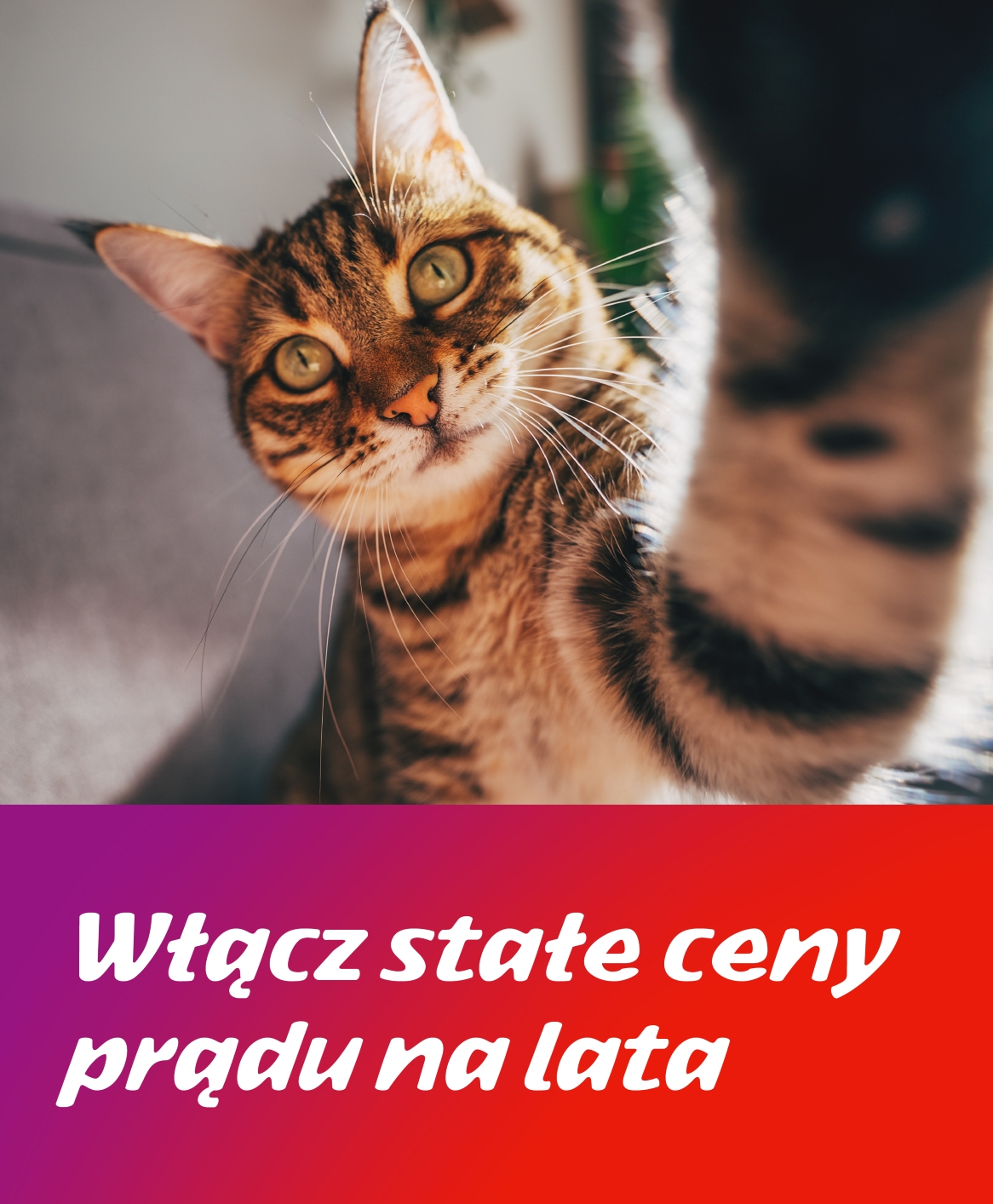 Energia bez granic