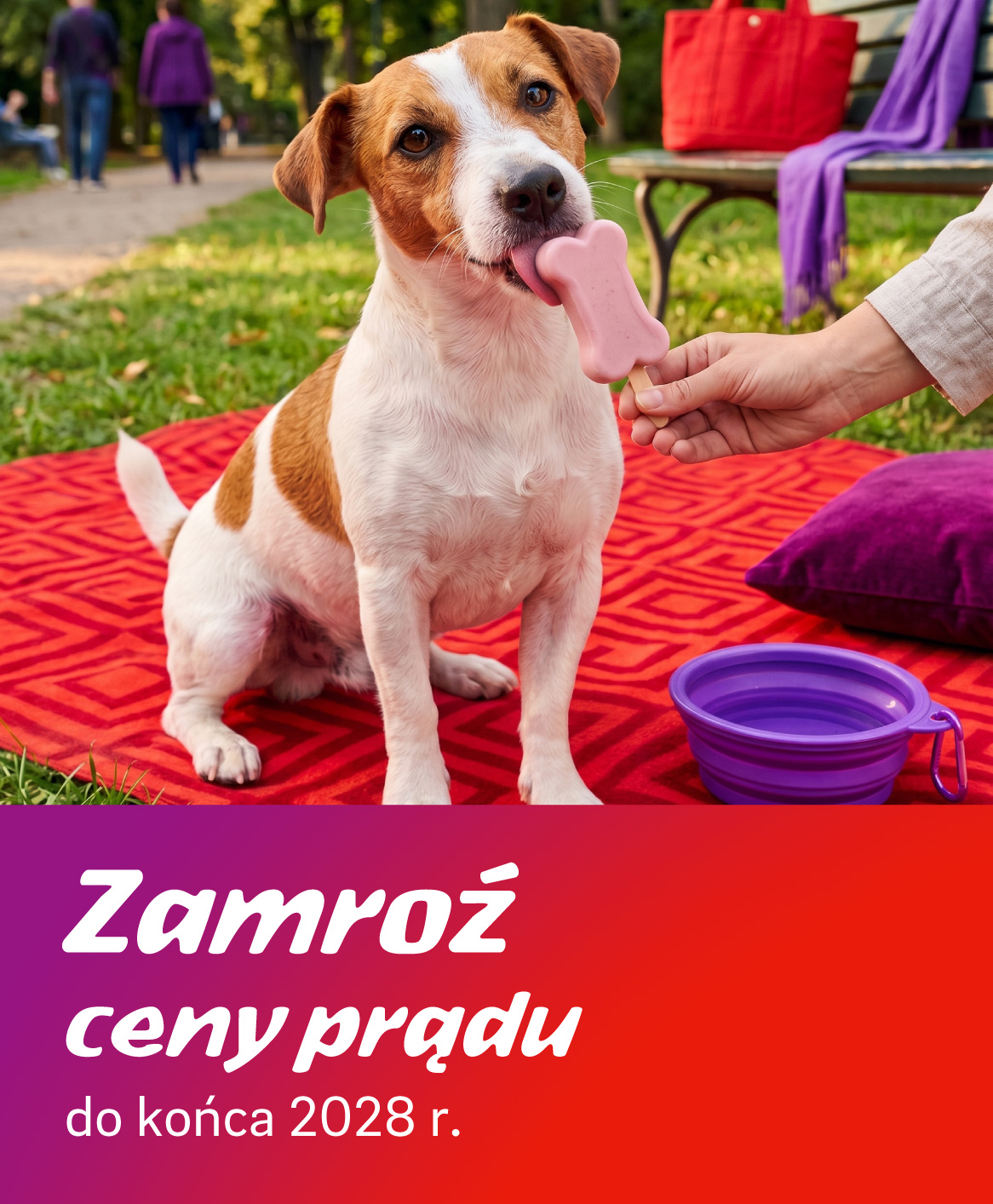 Zamroź ceny prądu
